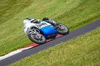 Vintage-motorcycle-club;eventdigitalimages;mallory-park;mallory-park-trackday-photographs;no-limits-trackdays;peter-wileman-photography;trackday-digital-images;trackday-photos;vmcc-festival-1000-bikes-photographs